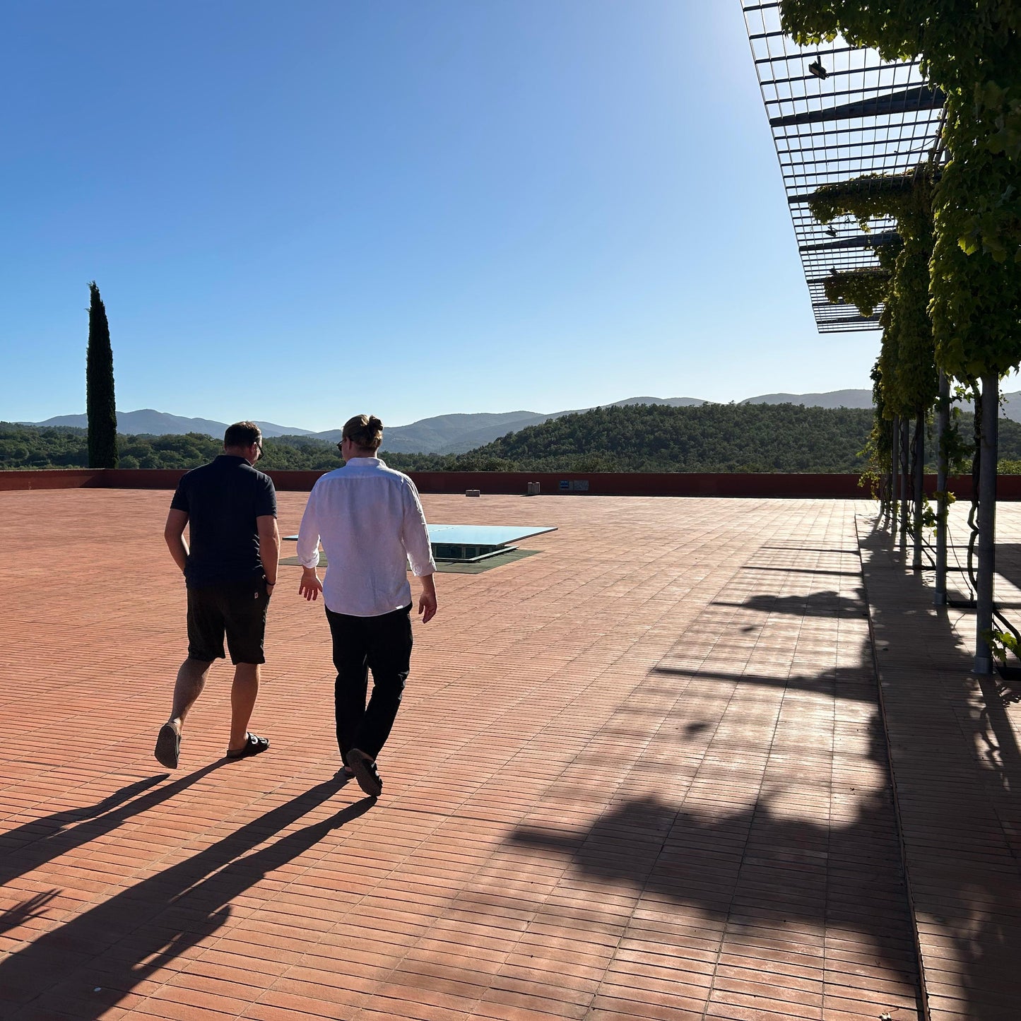 PRE-SALE Sommer-Tasting 2026 - München, Sa. 11.07.2026, ab 16:30 Uhr