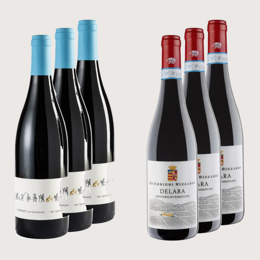 Rotwein-Set | 3x Spätburgunder und 3x Bardolino