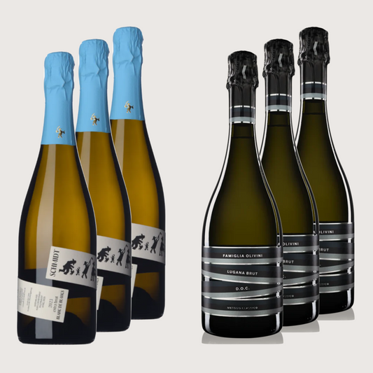 Schaumwein-Set | 3x Chardonnay und 3x Lugana