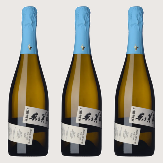 1 Paket Schmidt am Bodensee Blanc De Blanc 2023