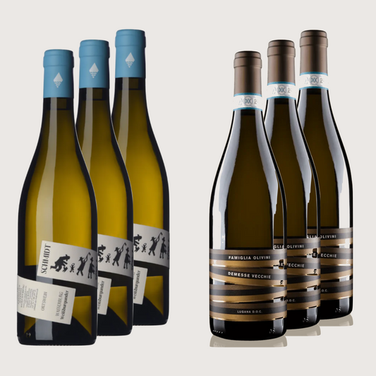 Weißwein-Set | 3x Weißburgunder und 3x Lugana